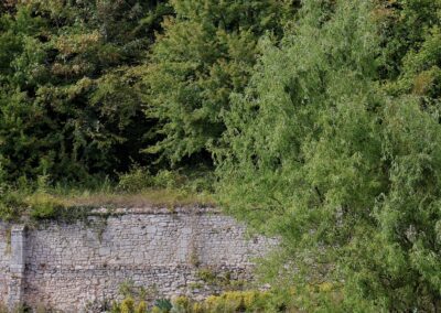 Paysage verdoyant le long du parcours des boucles de Seine